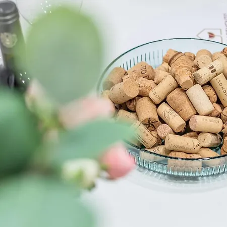 Wine Ciliegiolo Appartamento Firenze