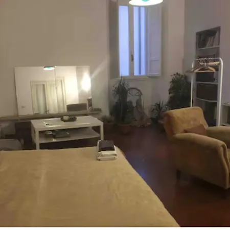 Large In Antique Building In Santo Spirito Homestay *