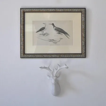 Apartamento The Swallows'