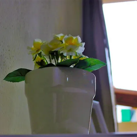 Buonarroti Relais Guest house *