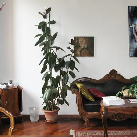 Gourmet B&B Giglio Bianco * Firenze