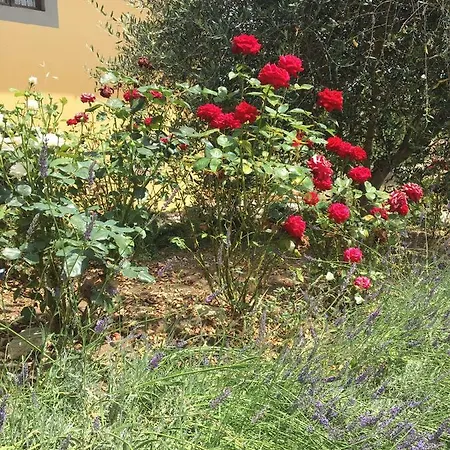 Casa Della Ciri Apartmán
