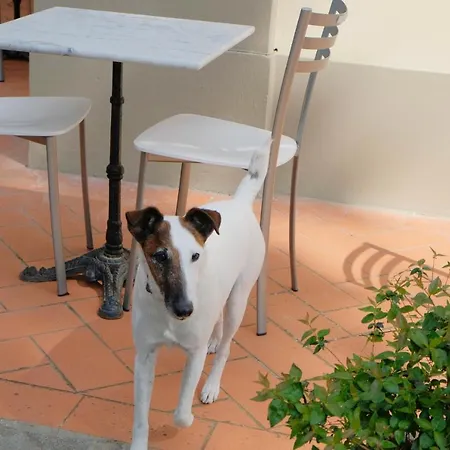 Il Leone Bed and breakfast Florencia