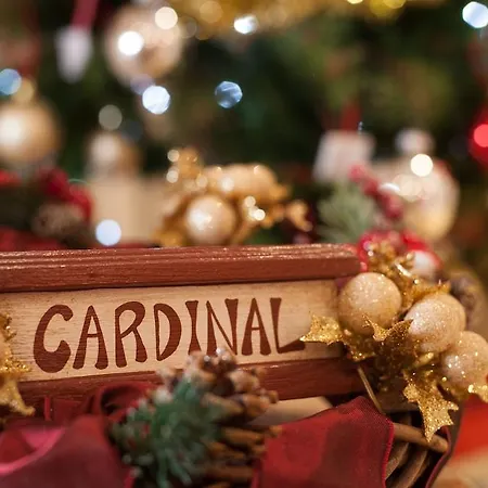 Cardinal Of - Recommended For Ages 25 To 55 3* Φλωρεντία