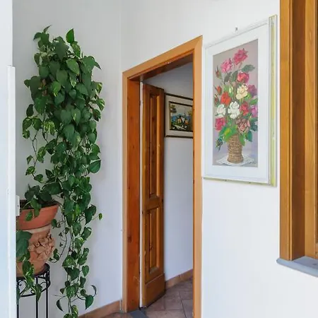 Affitta Calderaro Guest house *