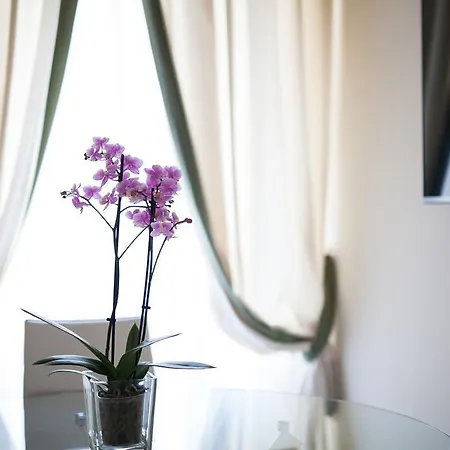 Apartment Kometa &