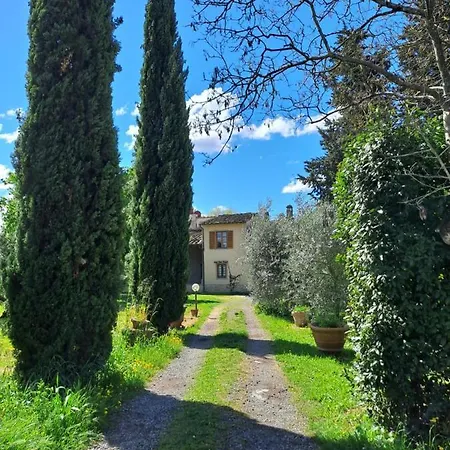 Sunshine Florencia