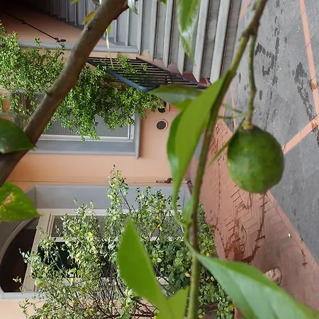 Aparthotel Palazzo Virginio Florence
