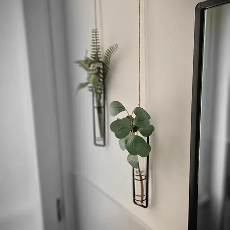 Guest house Stradivarious