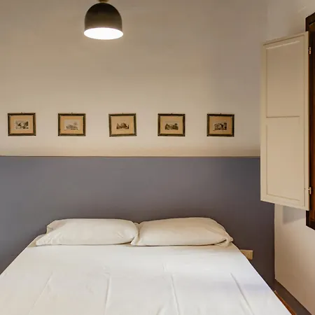Big Near Piazza Santo Spirito Apartment Florence