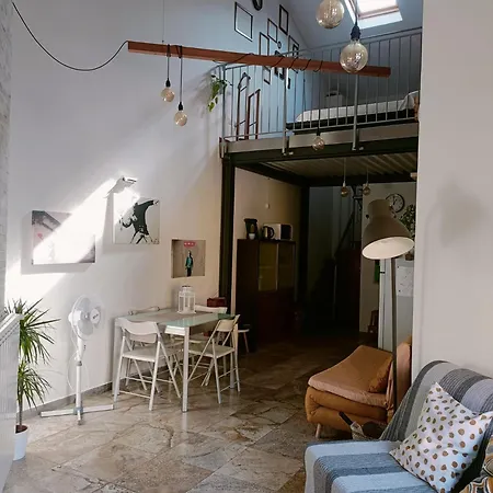 Il Loft Di Nina Apartment *