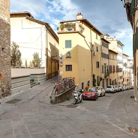 Magnoli 2 D * Florence
