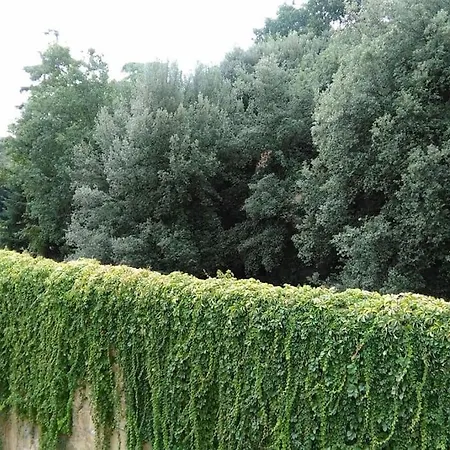 Un'angolo Incantato Florencie