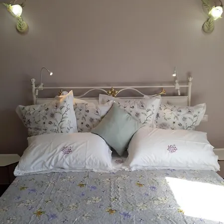 View Boutique - Milu Holidays * Florenz