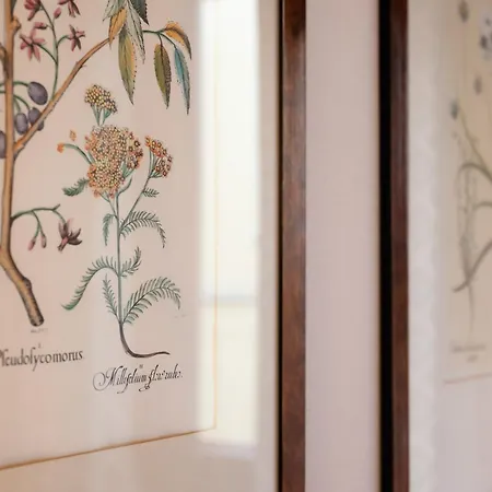 Hotel Morandi