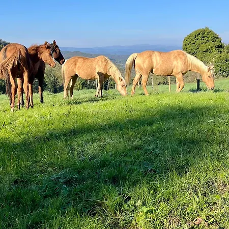 Serene Country Residence, Mugello Near La Prunetina