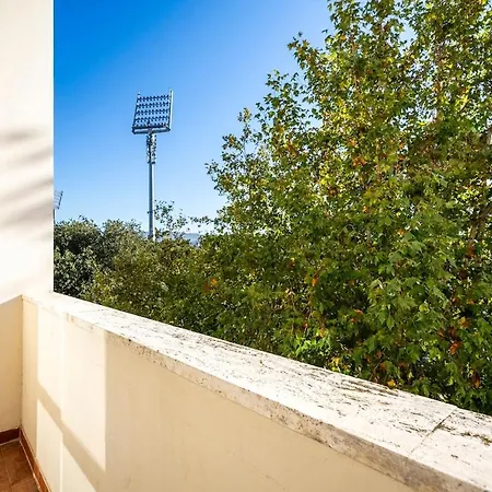 Franchi Stadium Elegant *