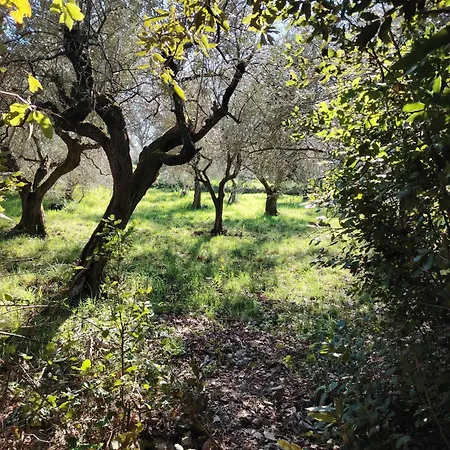 Giardinoterapeuticoinvilla Farm stay *