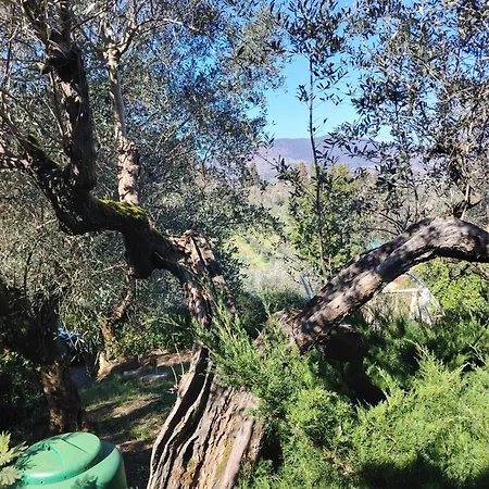 Giardinoterapeuticoinvilla *