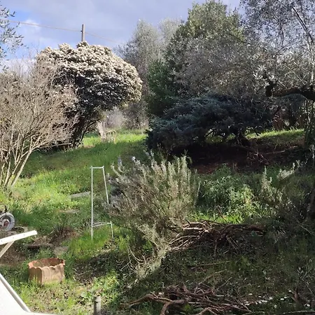 Giardinoterapeuticoinvilla Florence