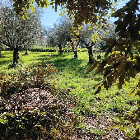Farm stay Giardinoterapeuticoinvilla