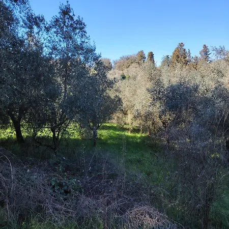 Giardinoterapeuticoinvilla Farm stay *