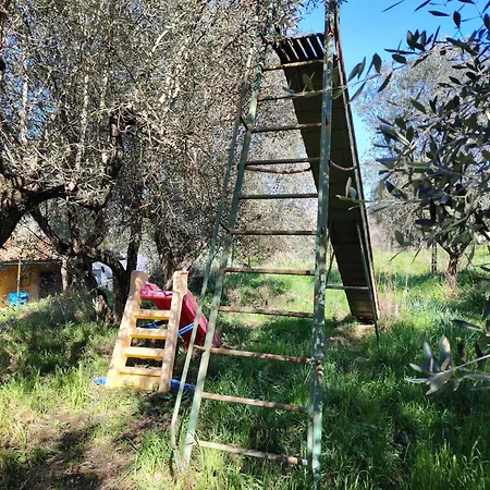 Farm stay Giardinoterapeuticoinvilla Florence