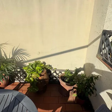 Small Penthouse With A Terrace Apartamento