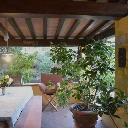 Dimora Degli Ulivi Floransa