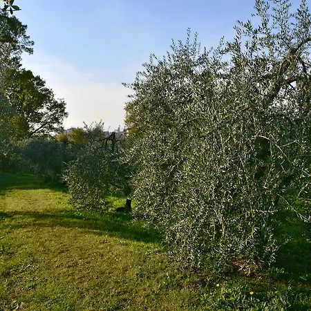 Armonie Di Incontri Bed & Breakfast Firenze
