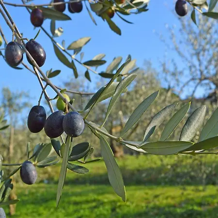 Bed & Breakfast Armonie Di Incontri