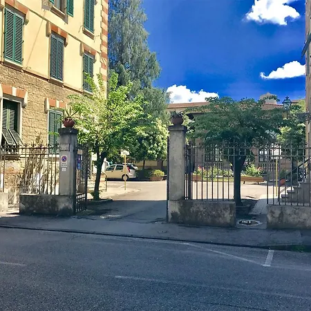 Bronzino 53 *