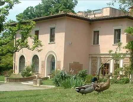 Ulivi 2*