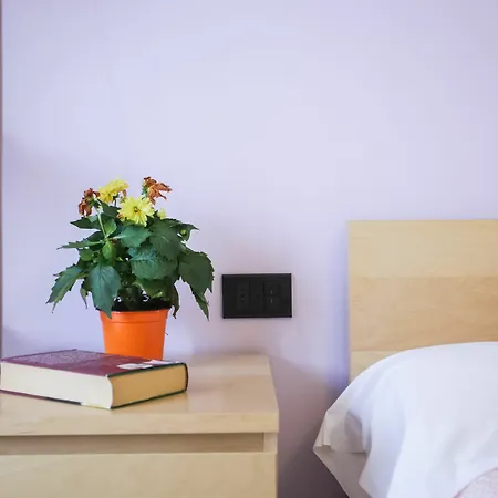 Guest house Vanni Terrace
