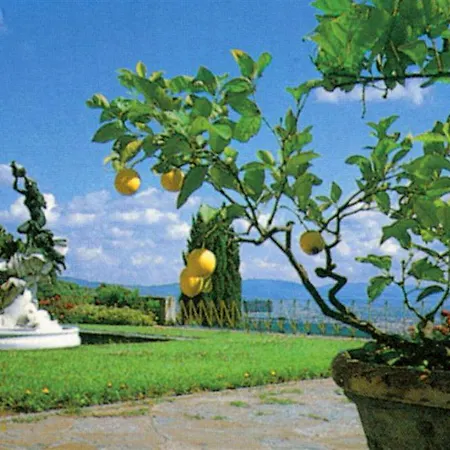 Hotel Le Rondini 4*
