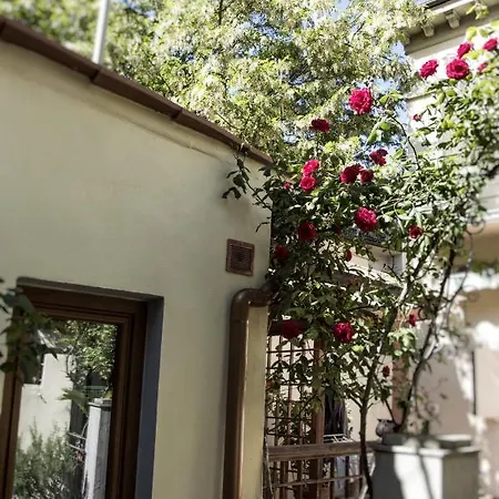 Lovely Nest Near Center Apartment *