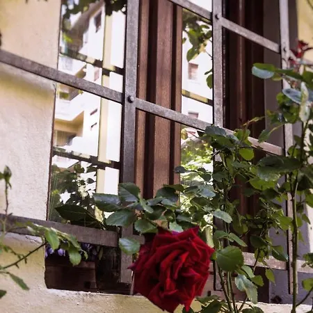 Lovely Nest Near Center Apartment Florence