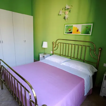 Calcio Storico Guest house Florence