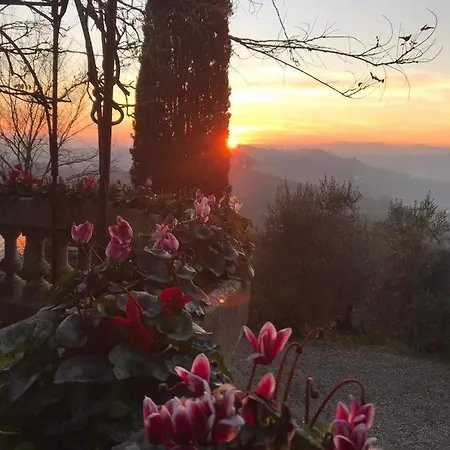 Bed & Breakfast La Piccioncina *