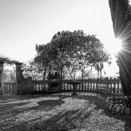 La Piccioncina Bed & Breakfast