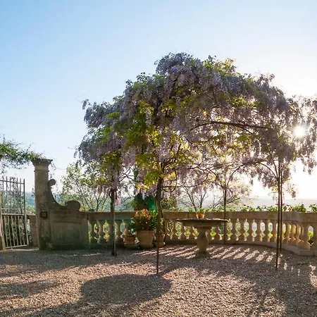 La Piccioncina Bed & Breakfast *