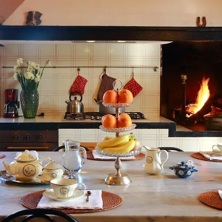 Bed & Breakfast La Piccioncina Florence