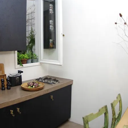 Centro Città Quartiere Oltrarno Con Una Camera Da Letto