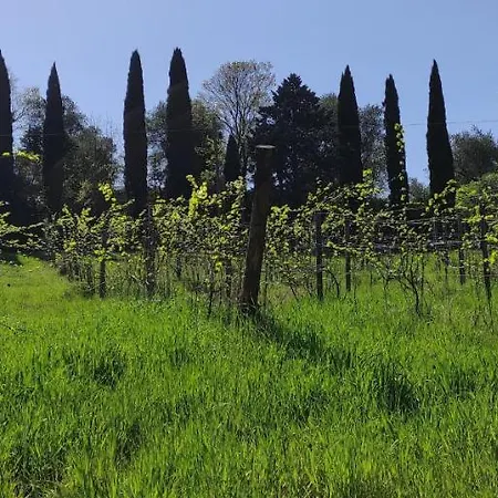 Fattoria Il Milione Alloggio per agriturismo Firenze