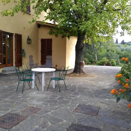 Rosmarino *