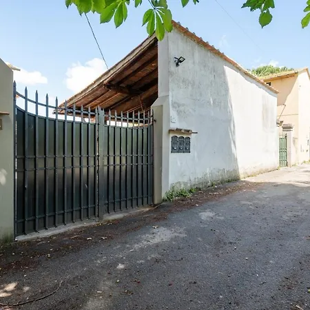 The Country In The - Parco Delle Cascine Apartmán Florencie