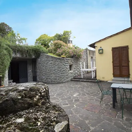 Rosmarino *