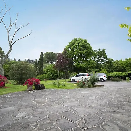 Rosmarino *