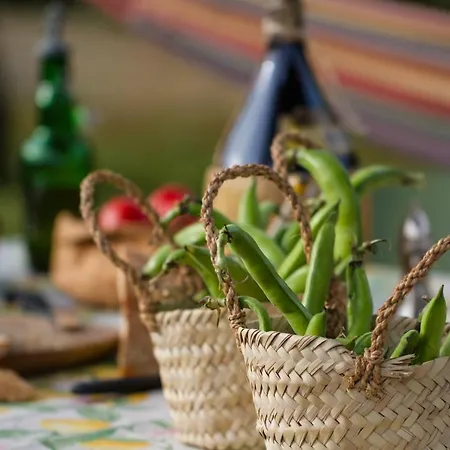 Bed & Breakfast Palazzi Firenze