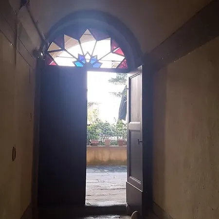 Apartment Cynthia's Garden - With Private Garden In Santa Croce Florence